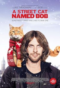 فیلم A Street Cat Named Bob 2016 1 MV5BMDk3ZGE2OTItY2JkYi00NWEzLWI1NjQtZGZlMzdkNjJlNmYxXkEyXkFqcGc@. V1 SX500